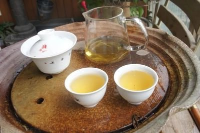 普洱茶林园和普洱茶园度假村在云南普洱市茶园。