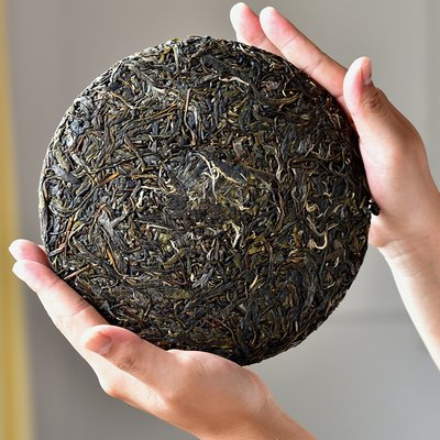 普洱白茶的特点和口感解析：深入了解茶叶之瑰宝