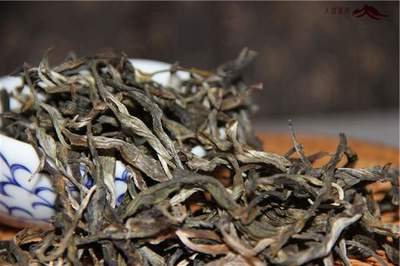 普洱白茶属于什么类型的茶叶？详解其品种与分类