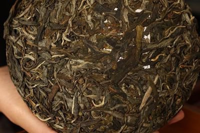 金芽普洱茶排名厂家及价格