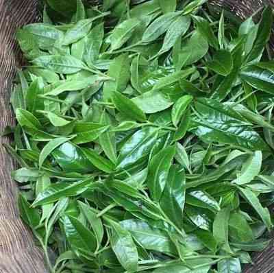 勐海七子饼普洱茶价格多少一斤啊，探秘勐海七子饼普洱茶：市场价格一斤多少钱？
