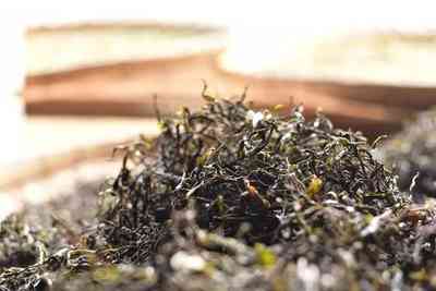 普洱茶保存不好的原因分析报告，揭秘普洱茶保存不佳的原因分析报告