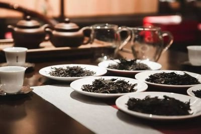 普洱茶、老白茶、红茶的区别及功效全解析