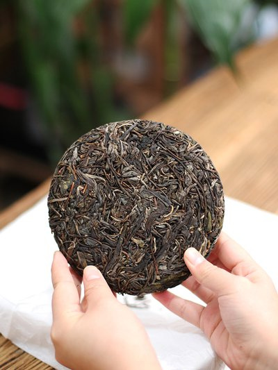 银春普洱茶，属于什么茶?