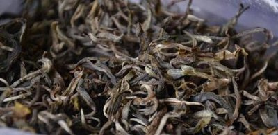 白茶口感与普洱茶相似，为何被批不好喝？味道淡还是其他原因？详解白茶的口味与特点