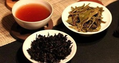 深入解析：普洱白茶与生茶、熟茶的区别及其优缺点