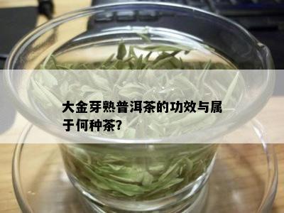 大金芽熟普洱茶的功效与属于何种茶？