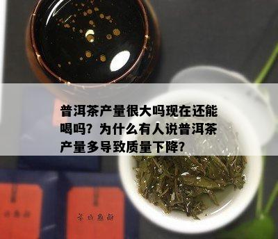 普洱茶产量很大吗现在还能喝吗？为什么有人说普洱茶产量多导致质量下降？