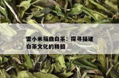 雷小米福鼎白茶：探寻福建白茶文化的精髓