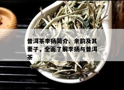 普洱茶李扬简介、余韵及其妻子，全面了解李扬与普洱茶