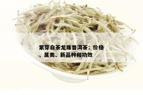 紫芽白茶龙珠普洱茶：价格、属类、新品种和功效