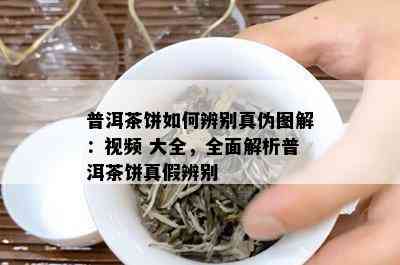 普洱茶饼如何辨别真伪图解：视频 大全，全面解析普洱茶饼真假辨别