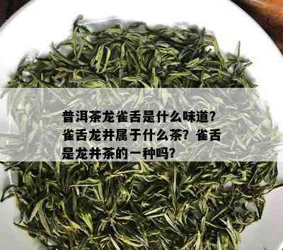 普洱茶龙雀舌是什么味道？雀舌龙井属于什么茶？雀舌是龙井茶的一种吗？