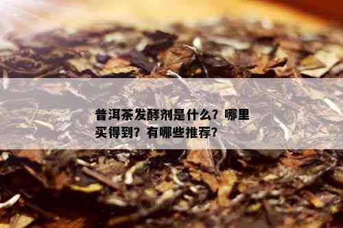 普洱茶发酵剂是什么？哪里买得到？有哪些推荐？