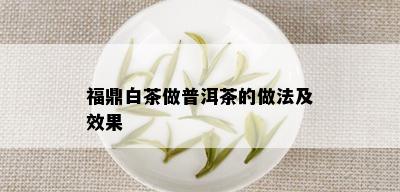 福鼎白茶做普洱茶的做法及效果