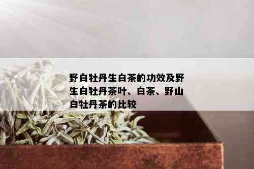 野白牡丹生白茶的功效及野生白牡丹茶叶、白茶、野山白牡丹茶的比较