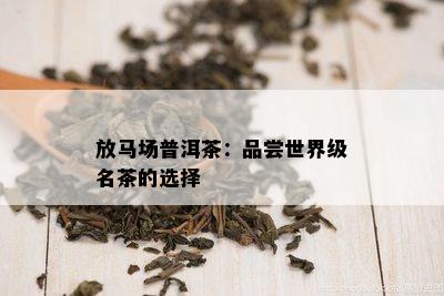 放马场普洱茶：品尝世界级名茶的选择