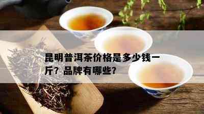 昆明普洱茶价格是多少钱一斤？品牌有哪些？