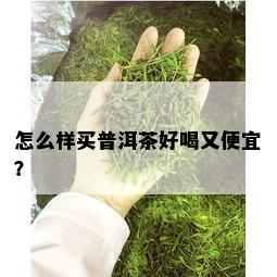 怎么样买普洱茶好喝又便宜？