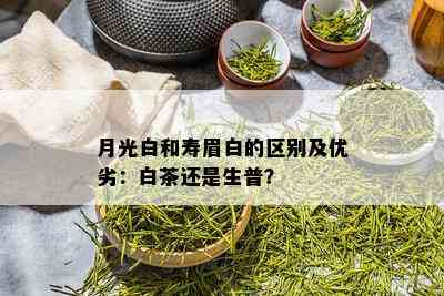 月光白和寿眉白的区别及优劣：白茶还是生普？