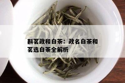 斟茗政和白茶：政名白茶和茗选白茶全解析