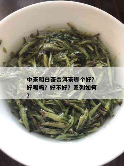 中茶和白茶普洱茶哪个好？好喝吗？好不好？系列如何？