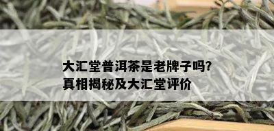 大汇堂普洱茶是老牌子吗？真相揭秘及大汇堂评价