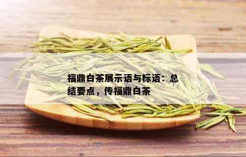 福鼎白茶展示语与标语：总结要点，传福鼎白茶