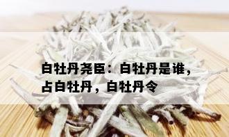 白牡丹尧臣：白牡丹是谁，占白牡丹，白牡丹令