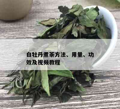 白牡丹煮茶方法、用量、功效及视频教程