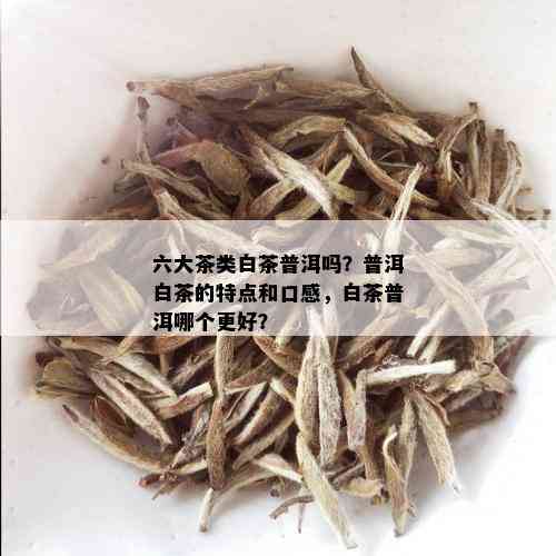 六大茶类白茶普洱吗？普洱白茶的特点和口感，白茶普洱哪个更好？