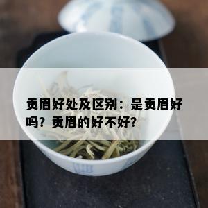 贡眉好处及区别：是贡眉好吗？贡眉的好不好？