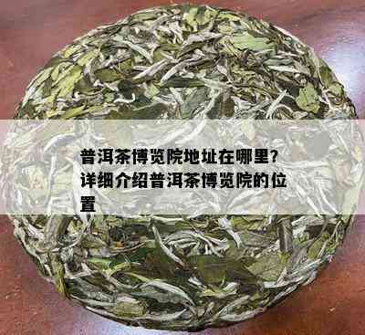 普洱茶博览院地址在哪里？详细介绍普洱茶博览院的位置