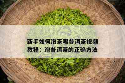 新手如何泡茶喝普洱茶视频教程：泡普洱茶的正确方法