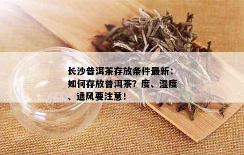 长沙普洱茶存放条件最新：如何存放普洱茶？度、湿度、通风要注意！