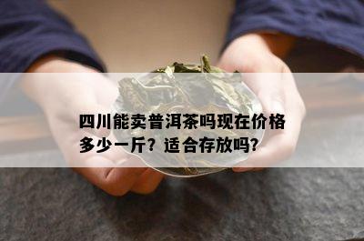 四川能卖普洱茶吗现在价格多少一斤？适合存放吗？