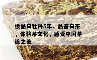 极品白牡丹5年，品鉴白茶，体验茶文化，感受中国茶道之美