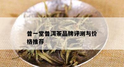 普一堂普洱茶品牌评测与价格推荐