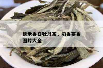 糯米香白牡丹茶，奶香茶香图片大全