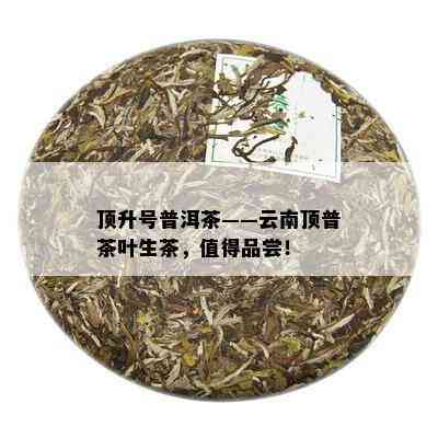 顶升号普洱茶——云南顶普茶叶生茶，值得品尝！