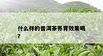 什么样的普洱茶养胃效果喝？