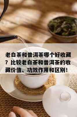 老白茶和普洱茶哪个好收藏？比较老白茶和普洱茶的收藏价值、功效作用和区别！