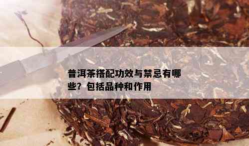 普洱茶搭配功效与禁忌有哪些？包括品种和作用