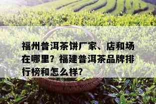 福州普洱茶饼厂家、店和场在哪里？福建普洱茶品牌排行榜和怎么样？