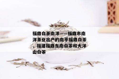 福鼎白茶南洋——福鼎市南洋茶业出产的南平福鼎白茶，福建福鼎东南白茶和大洋山白茶