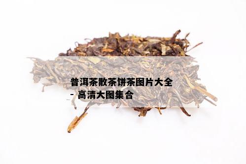 普洱茶散茶饼茶图片大全 - 高清大图集合