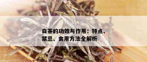 白茶的功效与作用：特点、禁忌、食用方法全解析