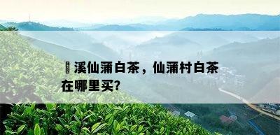 磻溪仙蒲白茶，仙蒲村白茶在哪里买？