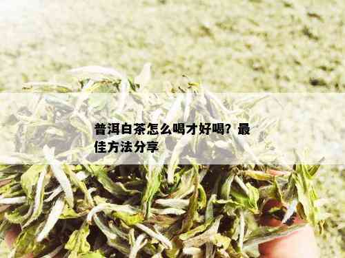 普洱白茶怎么喝才好喝？更佳方法分享