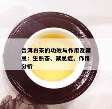 普洱白茶的功效与作用及禁忌：生熟茶、禁忌症、作用分析